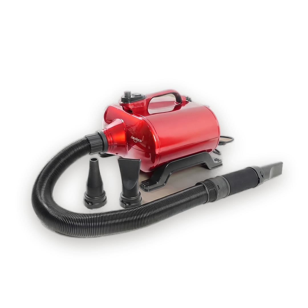 5 Star Series Typhoon dual motor dryer