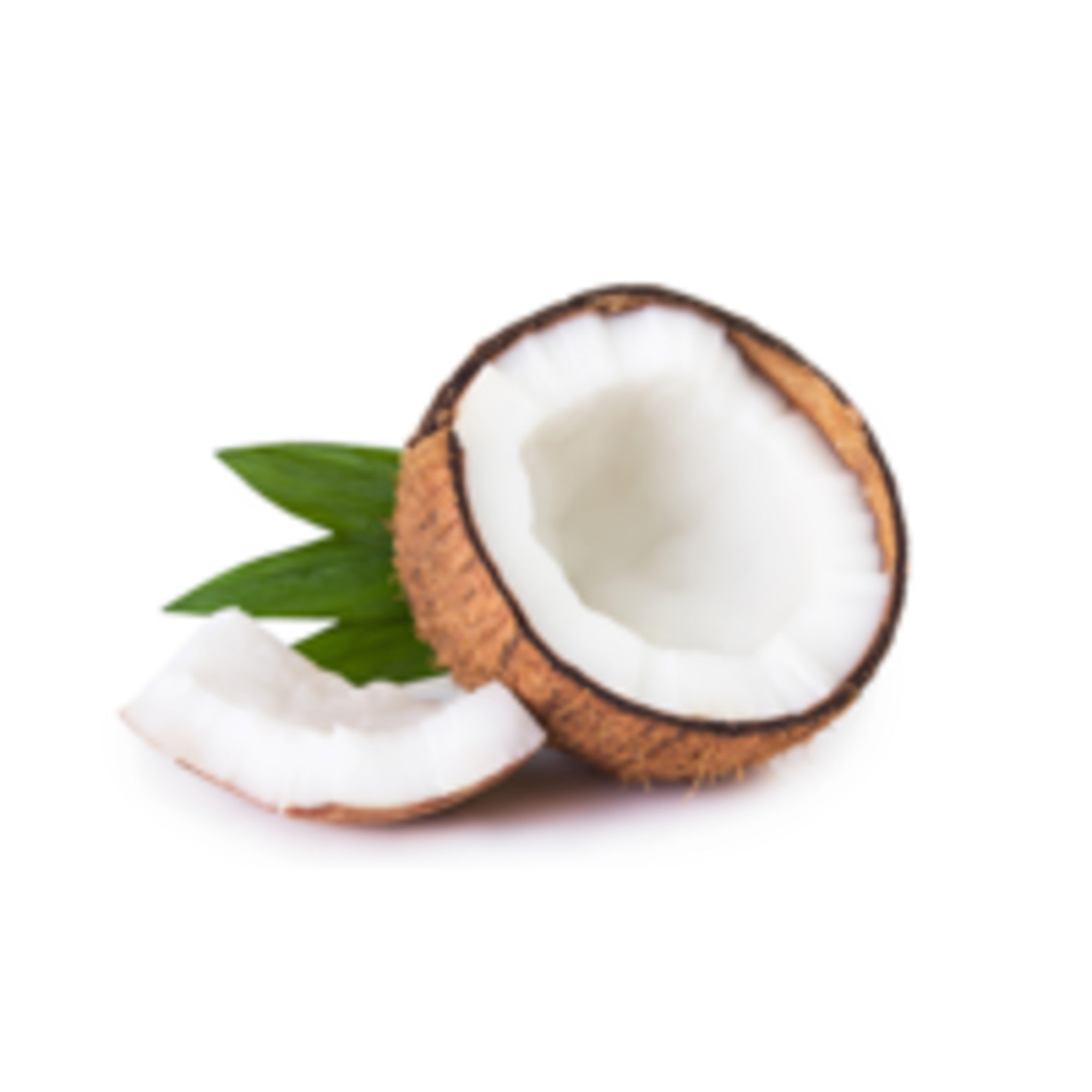 TropiClean Aloe & Coconut Deodorizing Dog & Cat Shampoo - Image 5 | Pure Spaw