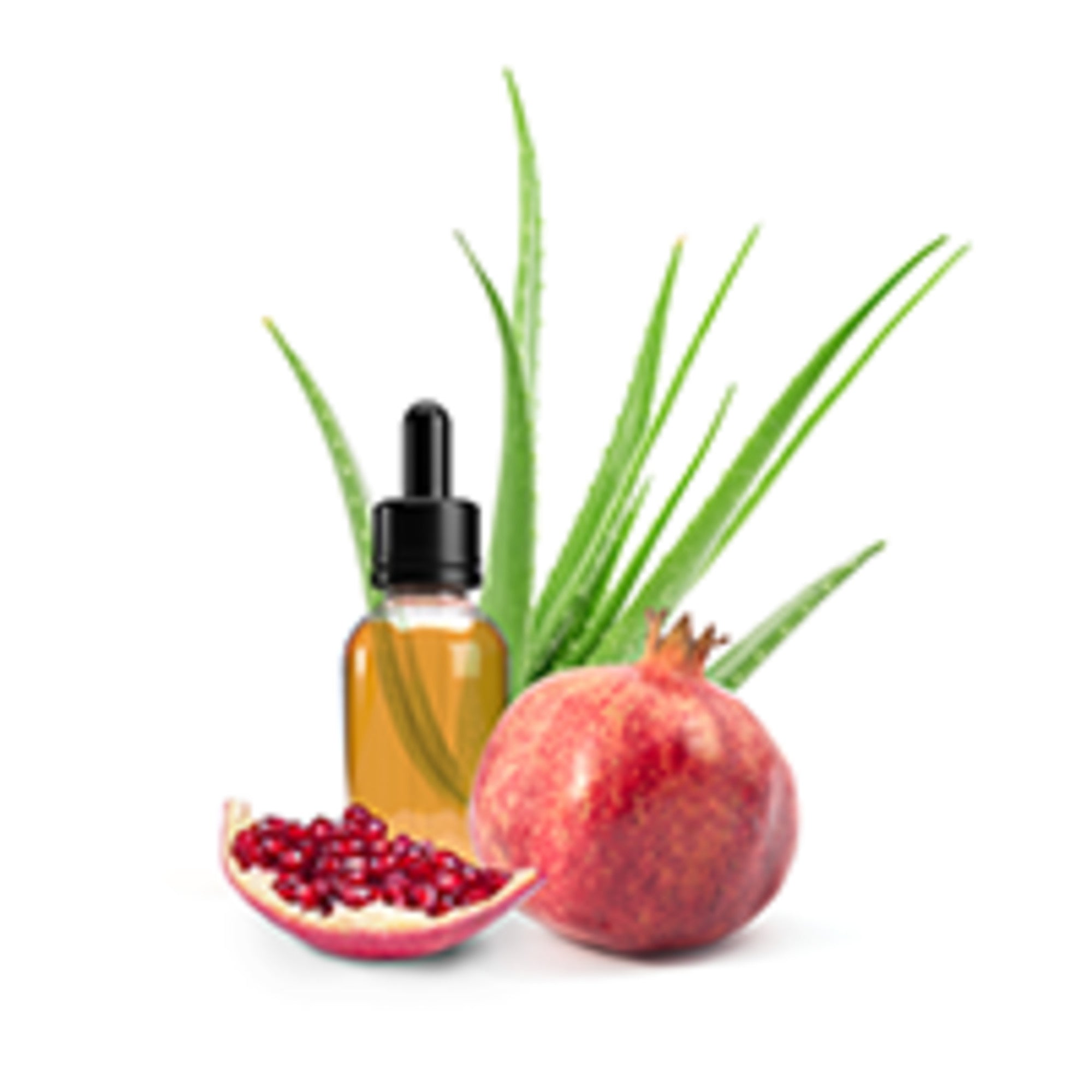 TropiClean Aloe & Coconut Deodorizing Dog & Cat Shampoo - Image 7 | Pure Spaw